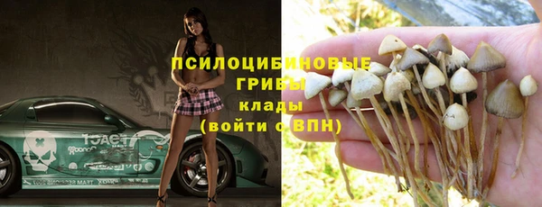 крисы Балахна